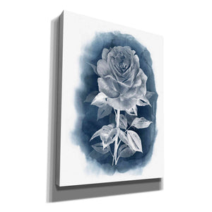 'Ghost Rose III' by Grace Popp, Canvas Wall Glass
