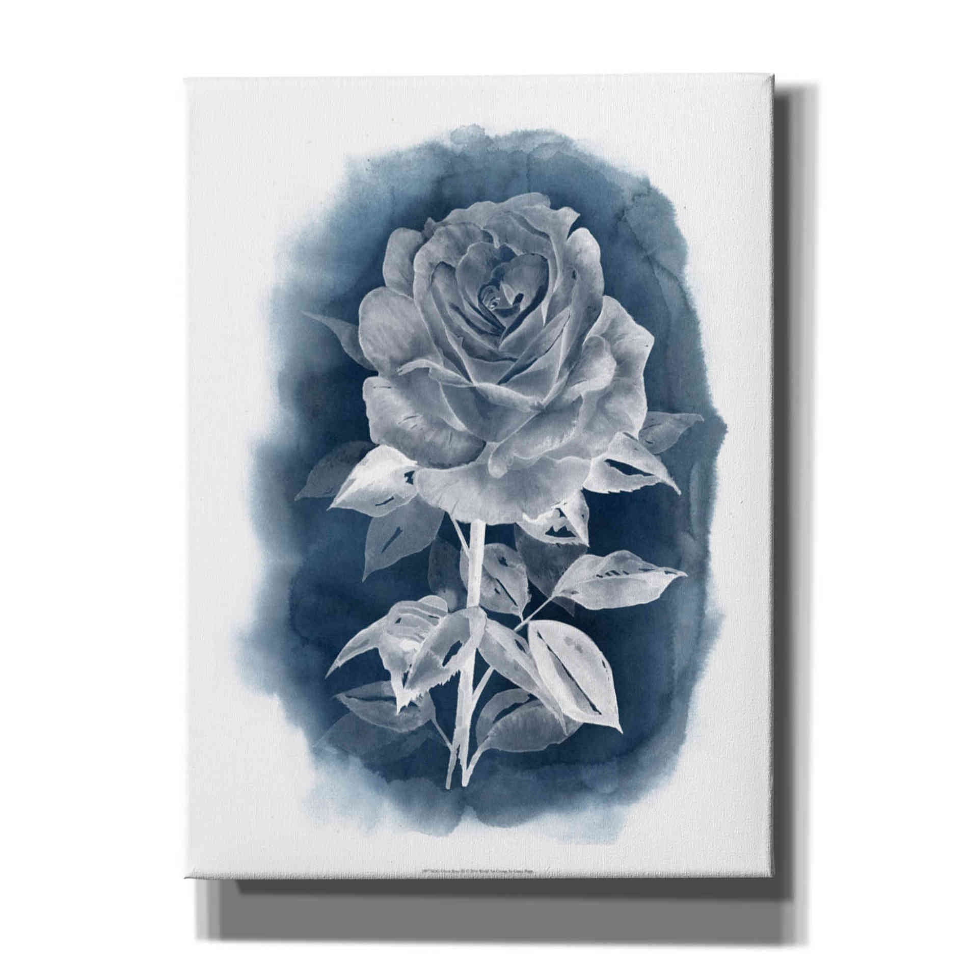 'Ghost Rose III' by Grace Popp, Canvas Wall Glass