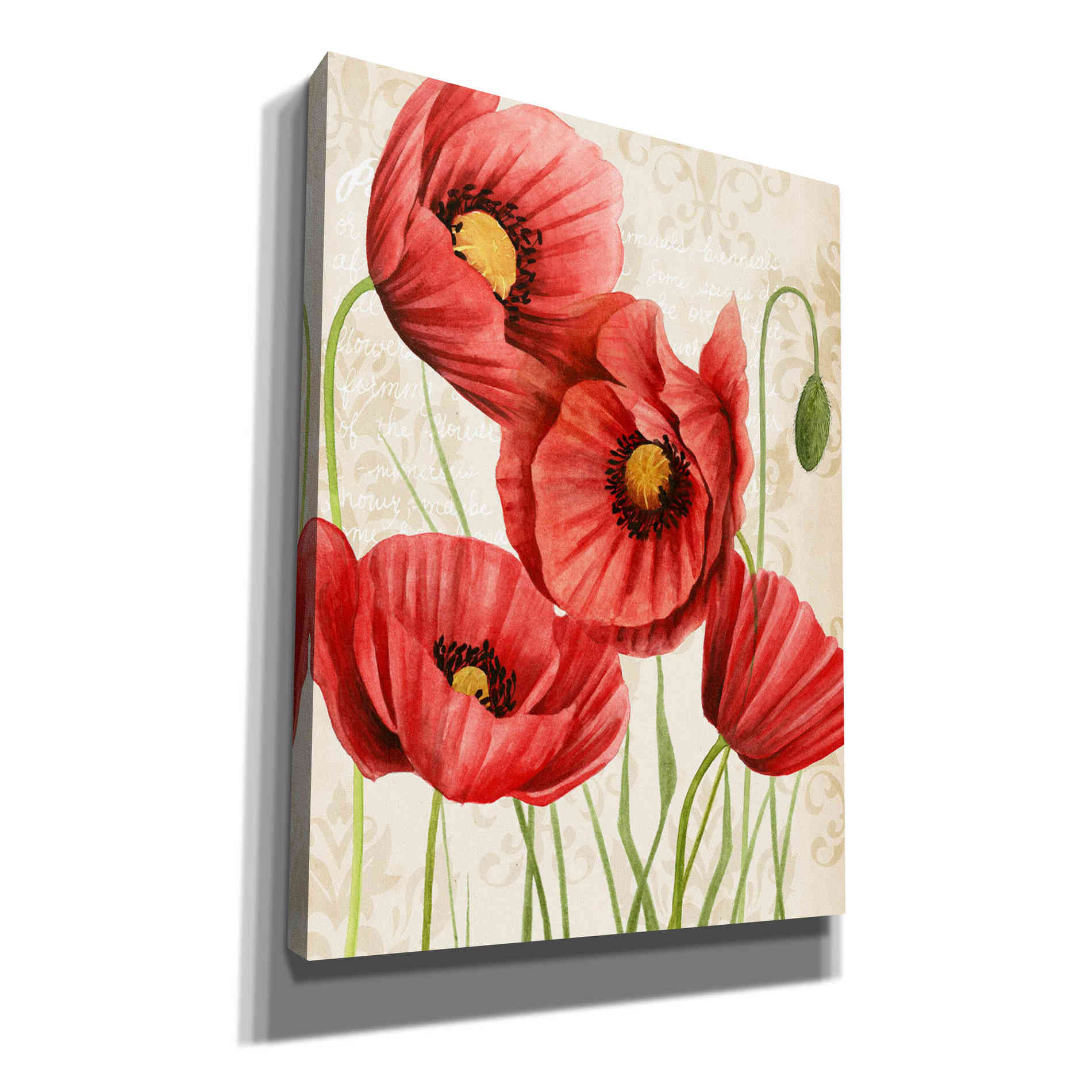 'Poised Poppy II' by Grace Popp, Canvas Wall Glass