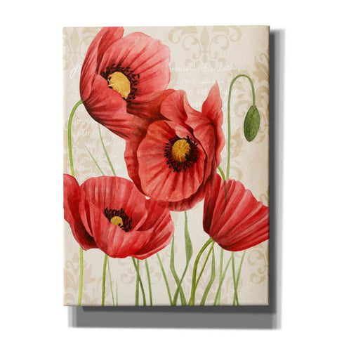 Image of 'Poised Poppy II' by Grace Popp, Canvas Wall Glass