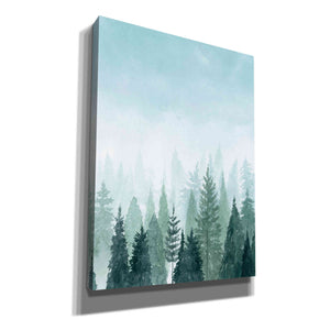 'Into the Trees II' by Grace Popp, Canvas Wall Glass