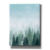 'Into the Trees II' by Grace Popp, Canvas Wall Glass