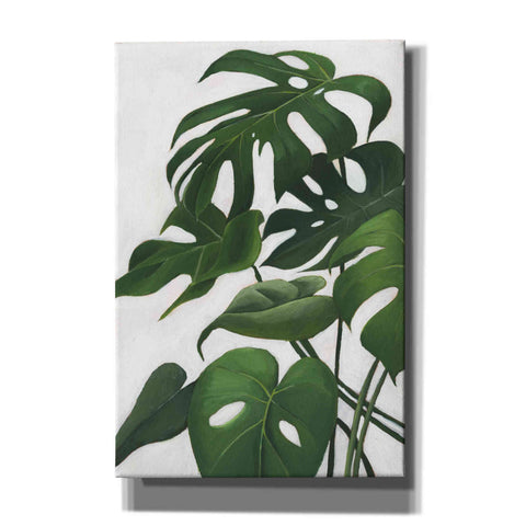 Image of 'Pura Vida I' by Grace Popp, Canvas Wall Glass