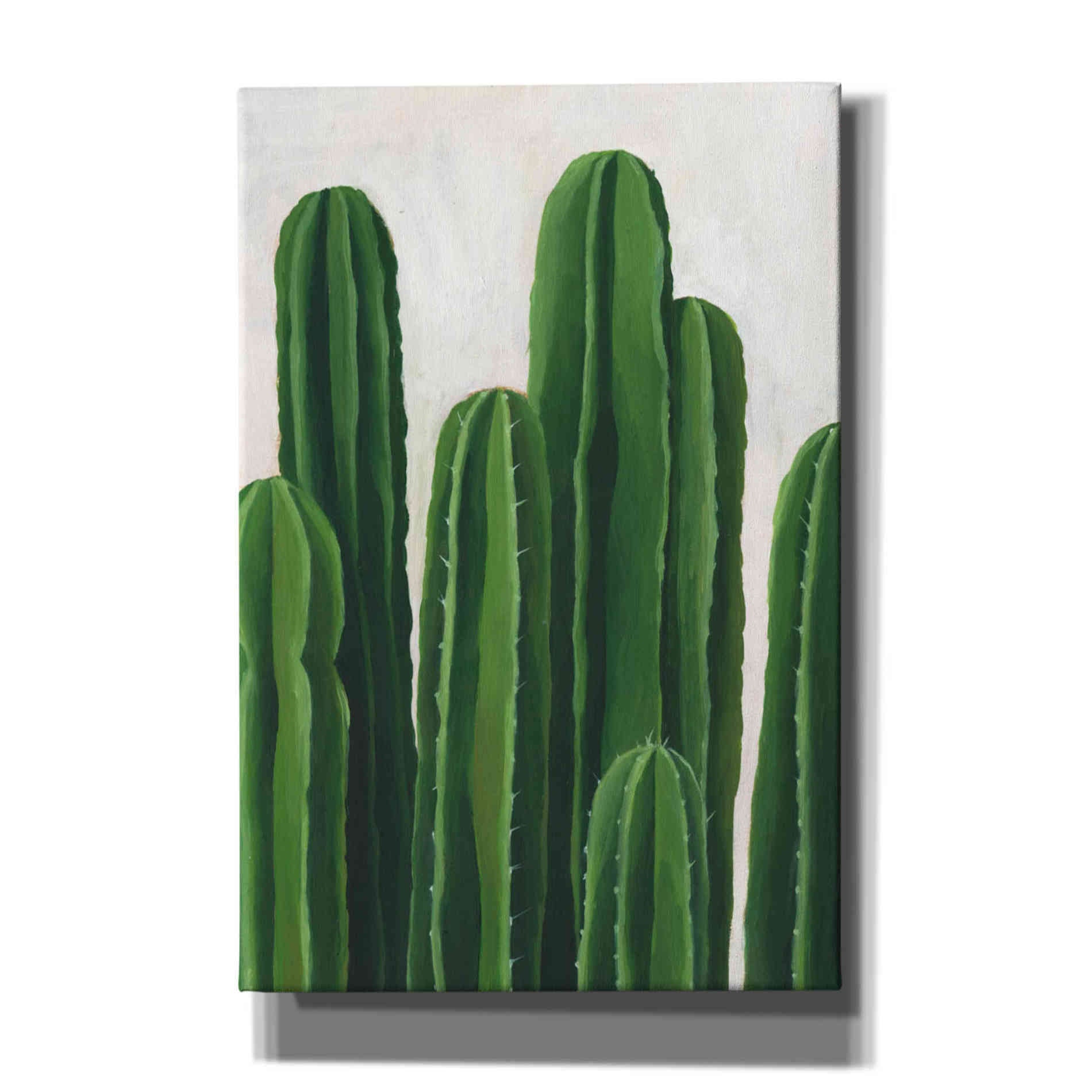 'Pura Vida III' by Grace Popp, Canvas Wall Glass