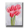 'Tulip Tangle II' by Grace Popp, Canvas Wall Glass