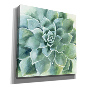 'Verdant Succulent II' by Grace Popp, Canvas Wall Glass