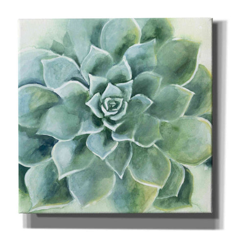 Image of 'Verdant Succulent II' by Grace Popp, Canvas Wall Glass