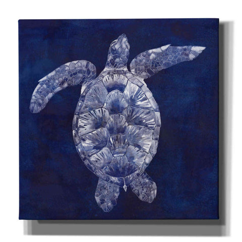 Image of 'Sea Turtle Shadow II' by Grace Popp, Canvas Wall Glass