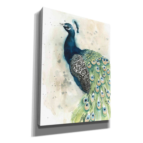 Image of 'Watercolor Peacock Portrait II' by Grace Popp, Canvas Wall Glass