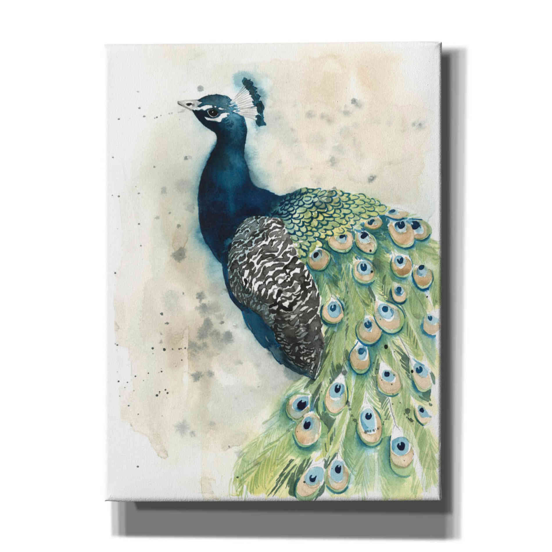 'Watercolor Peacock Portrait II' by Grace Popp, Canvas Wall Glass