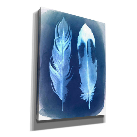 Image of 'Feather Negatives II' by Grace Popp, Canvas Wall Glass