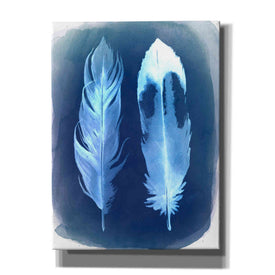 'Feather Negatives II' by Grace Popp, Canvas Wall Glass
