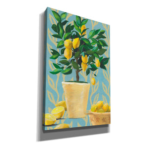 'Opulent Citrus I' by Grace Popp, Canvas Wall Glass