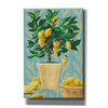 'Opulent Citrus I' by Grace Popp, Canvas Wall Glass