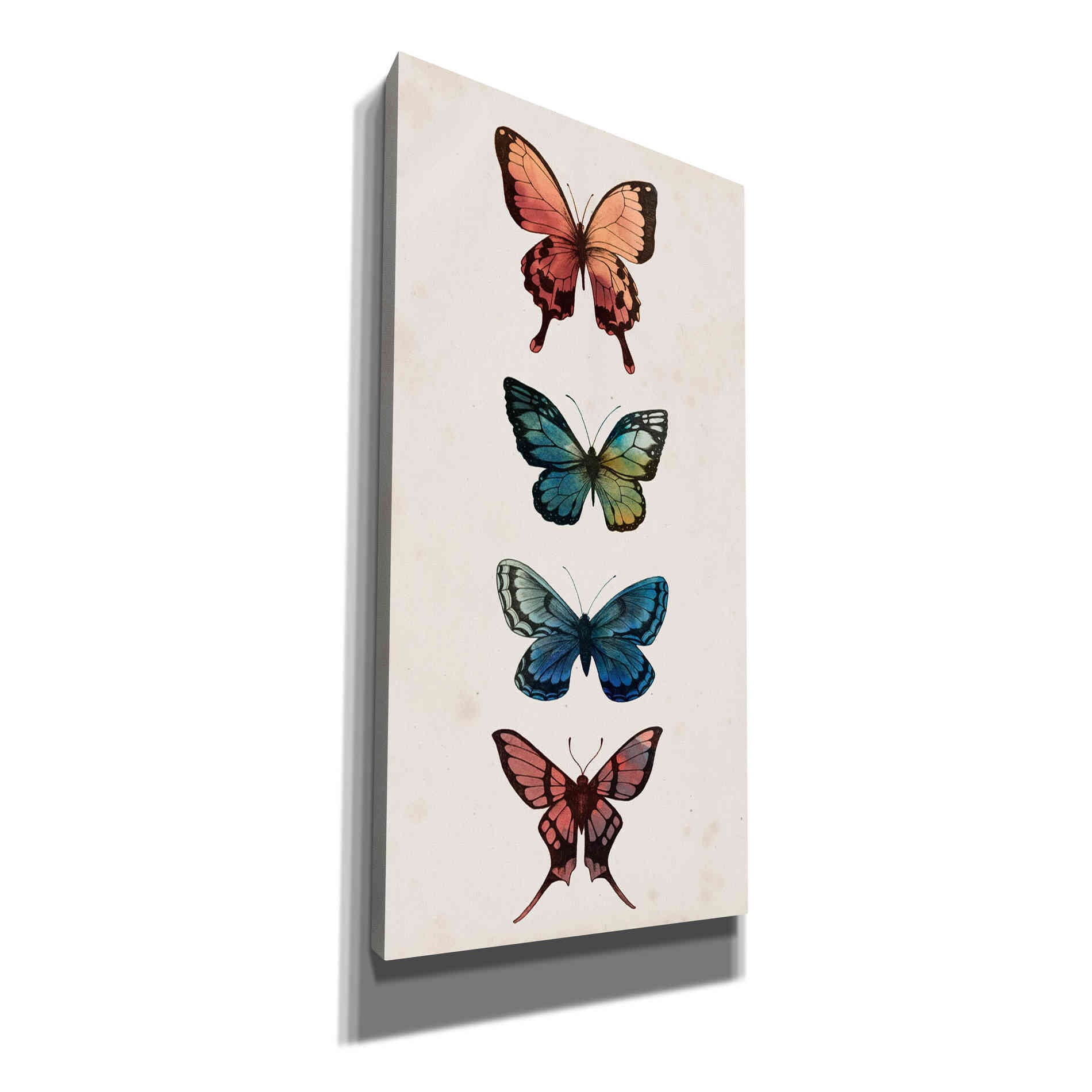 'Fairy Study I' by Grace Popp, Canvas Wall Glass