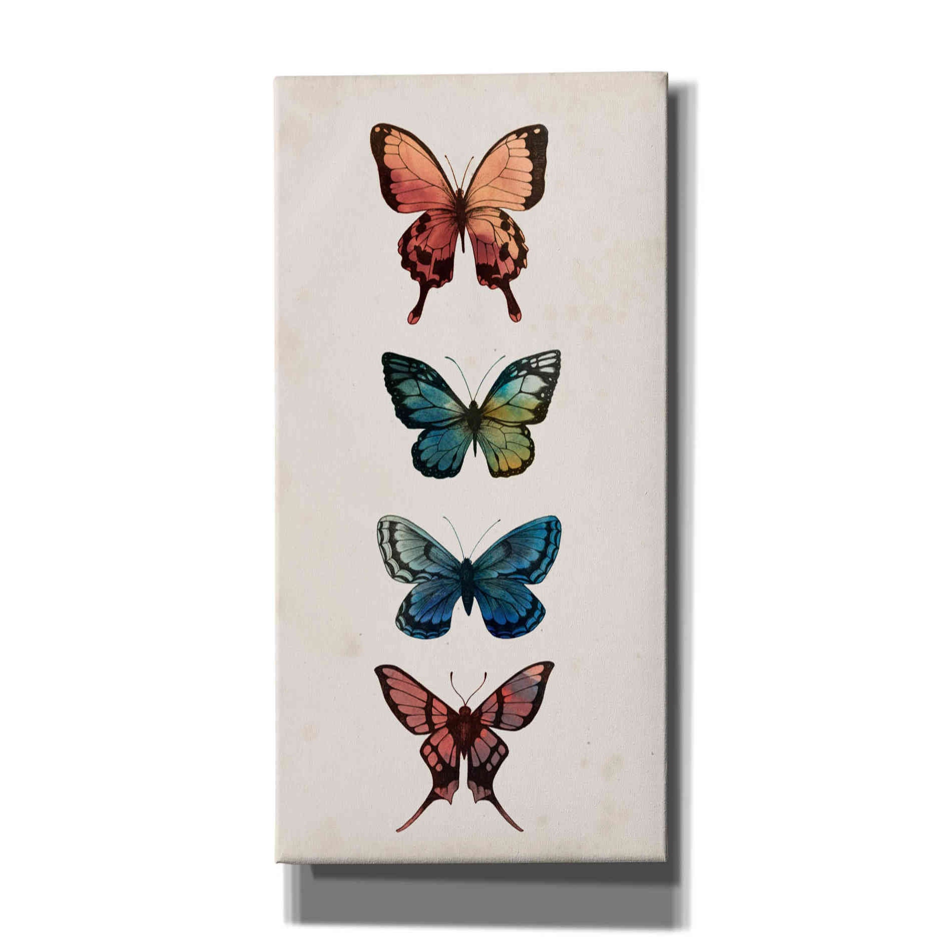 'Fairy Study I' by Grace Popp, Canvas Wall Glass
