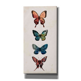 'Fairy Study I' by Grace Popp, Canvas Wall Glass