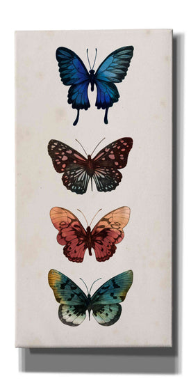 'Fairy Study II' by Grace Popp, Canvas Wall Glass