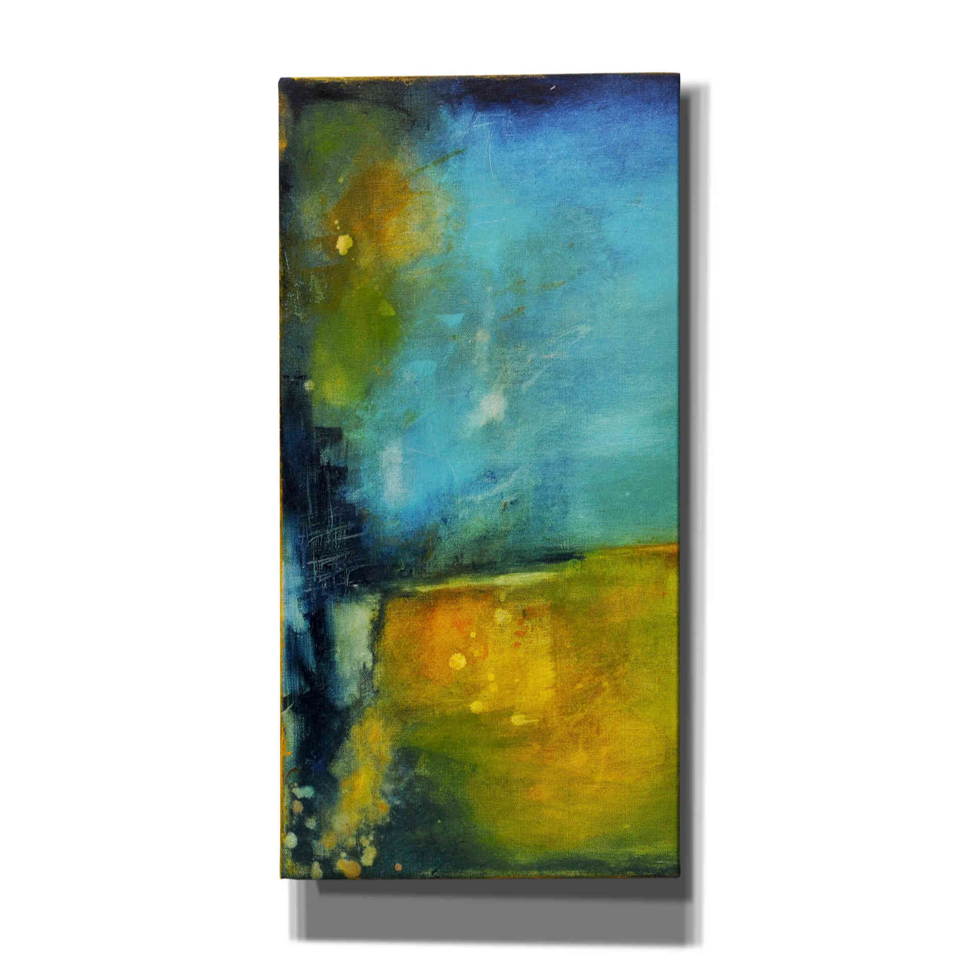 'Midnight Jewel I' by Erin Ashley, Canvas Wall Art