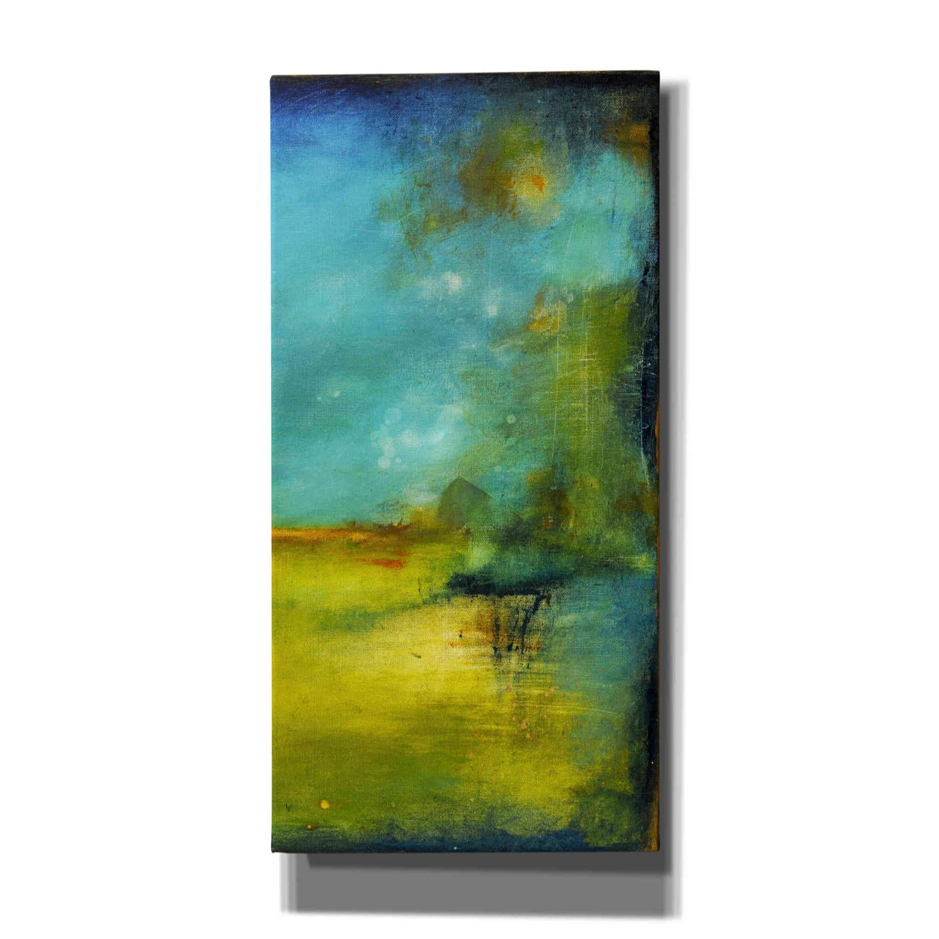 'Midnight Jewel II' by Erin Ashley, Canvas Wall Art