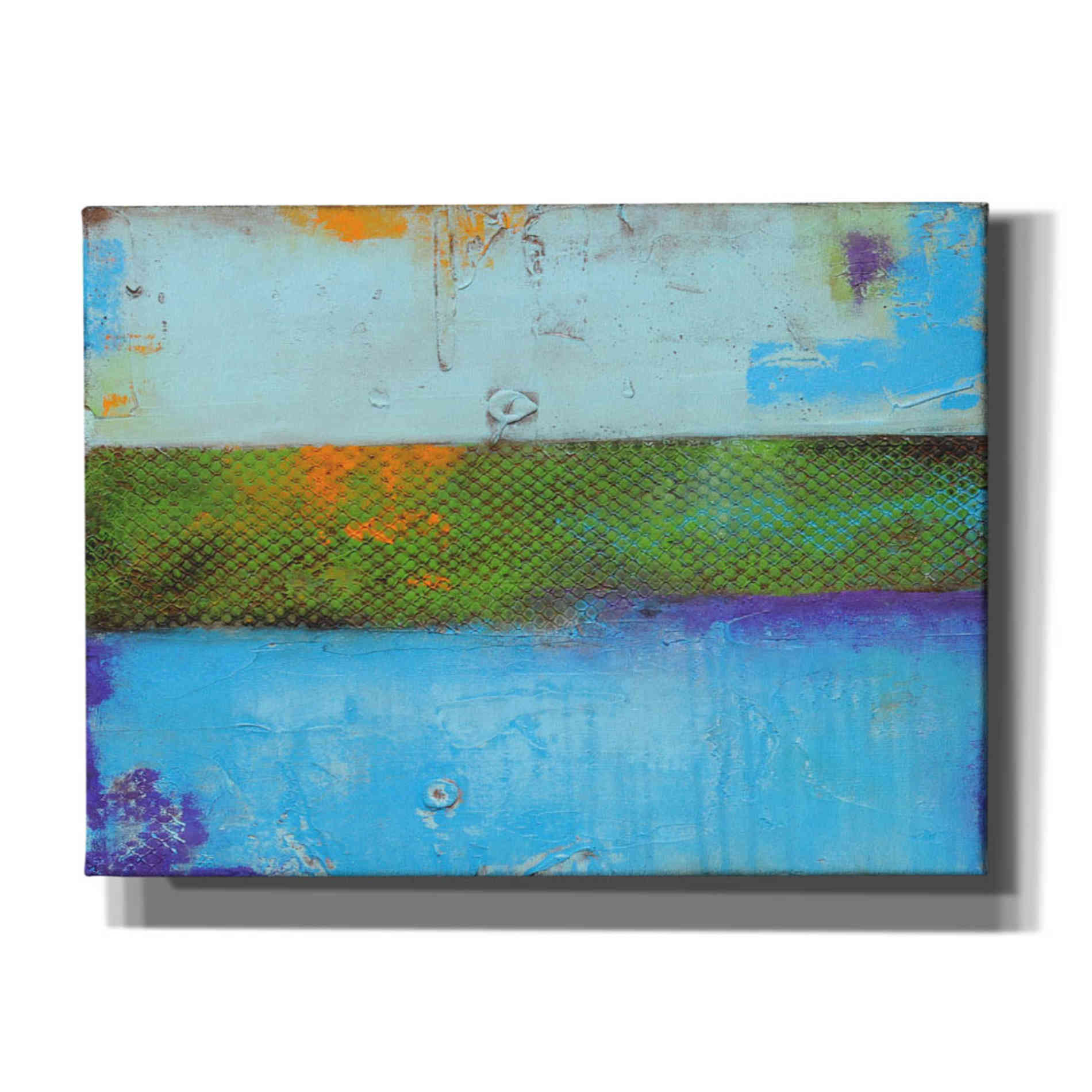 'Cactus Garden' by Erin Ashley, Canvas Wall Art