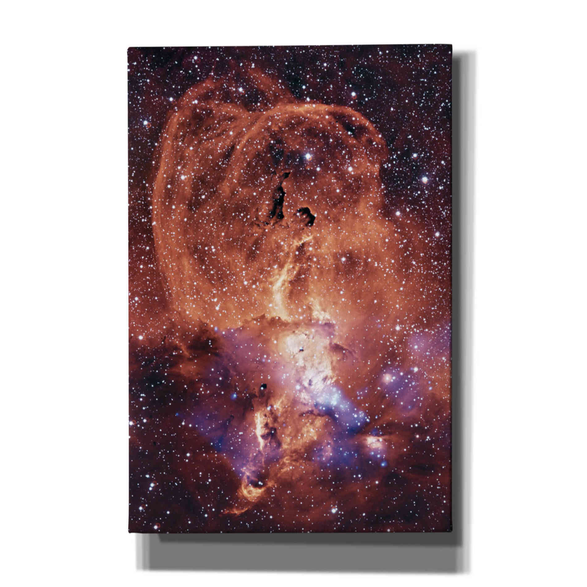 'NGC 3576 Nebula,' Canvas Wall Art