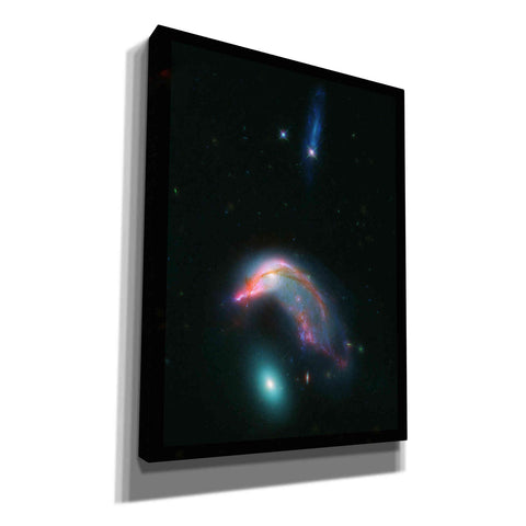 Image of 'Arp 142 Penguin and the Egg,' Canvas Wall Art