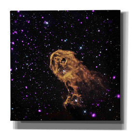 'Elephant Trunk Nebula,' Canvas Wall Art