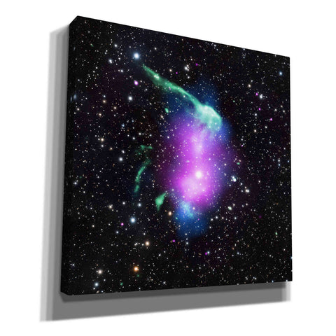 Image of 'Toothbrush Cluster,' Canvas Wall Art