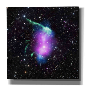 'Toothbrush Cluster,' Canvas Wall Art