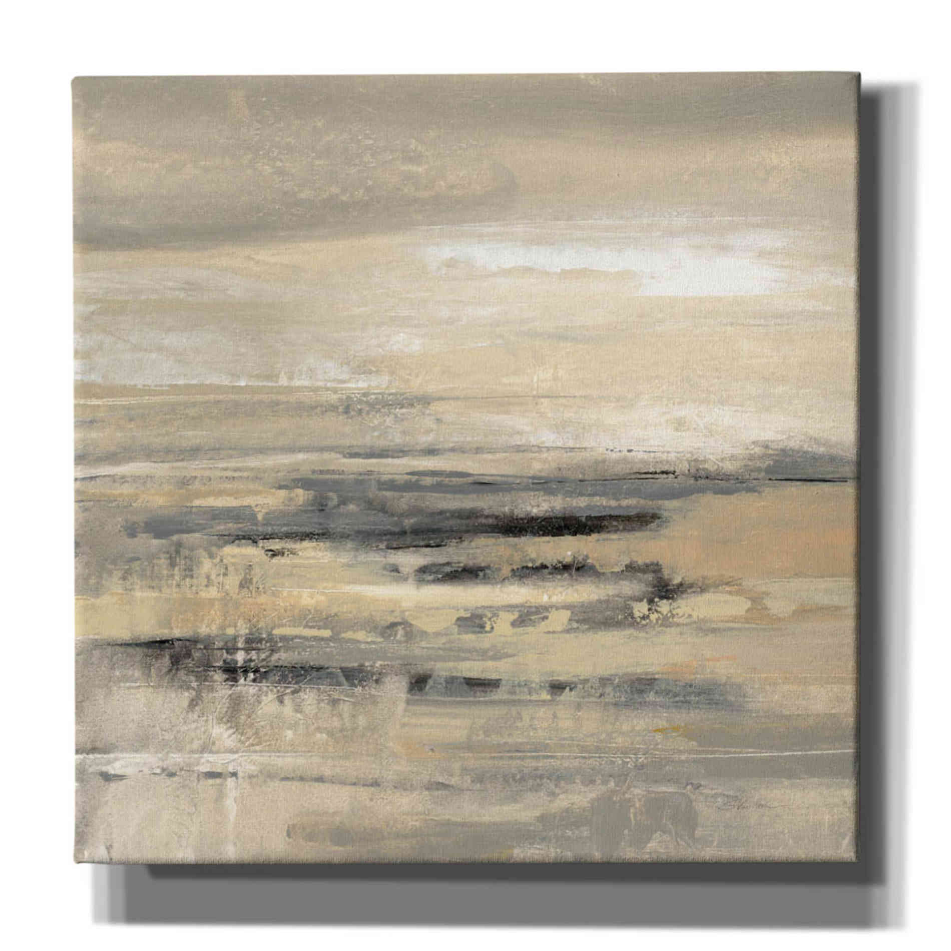 'January Road' by Silvia Vassileva, Canvas Wall Art