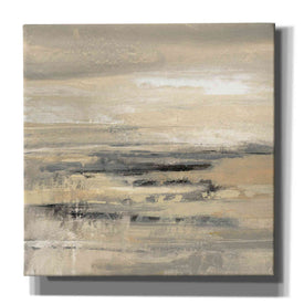 'January Road' by Silvia Vassileva, Canvas Wall Art
