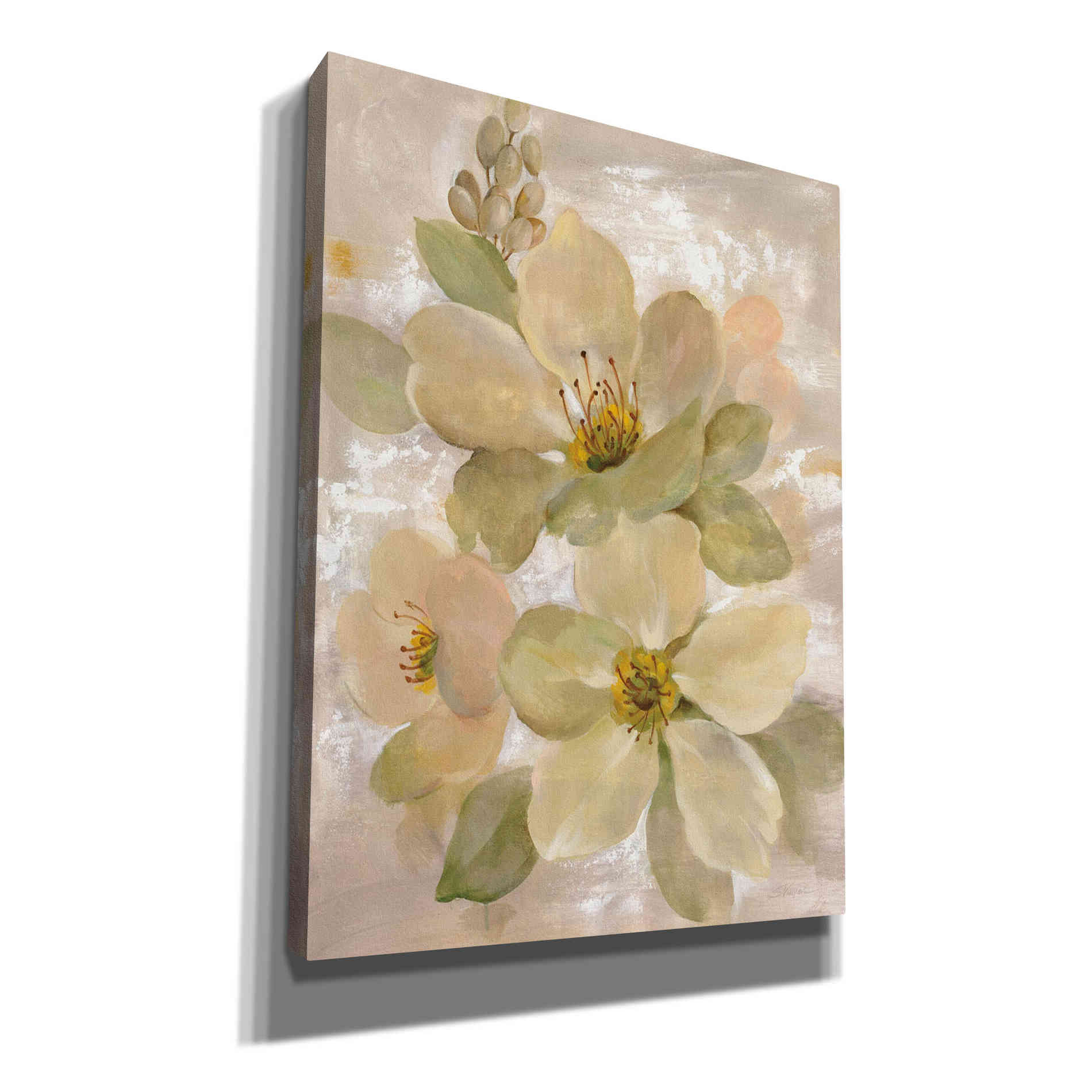 'White on White Floral I' by Silvia Vassileva, Canvas Wall Art