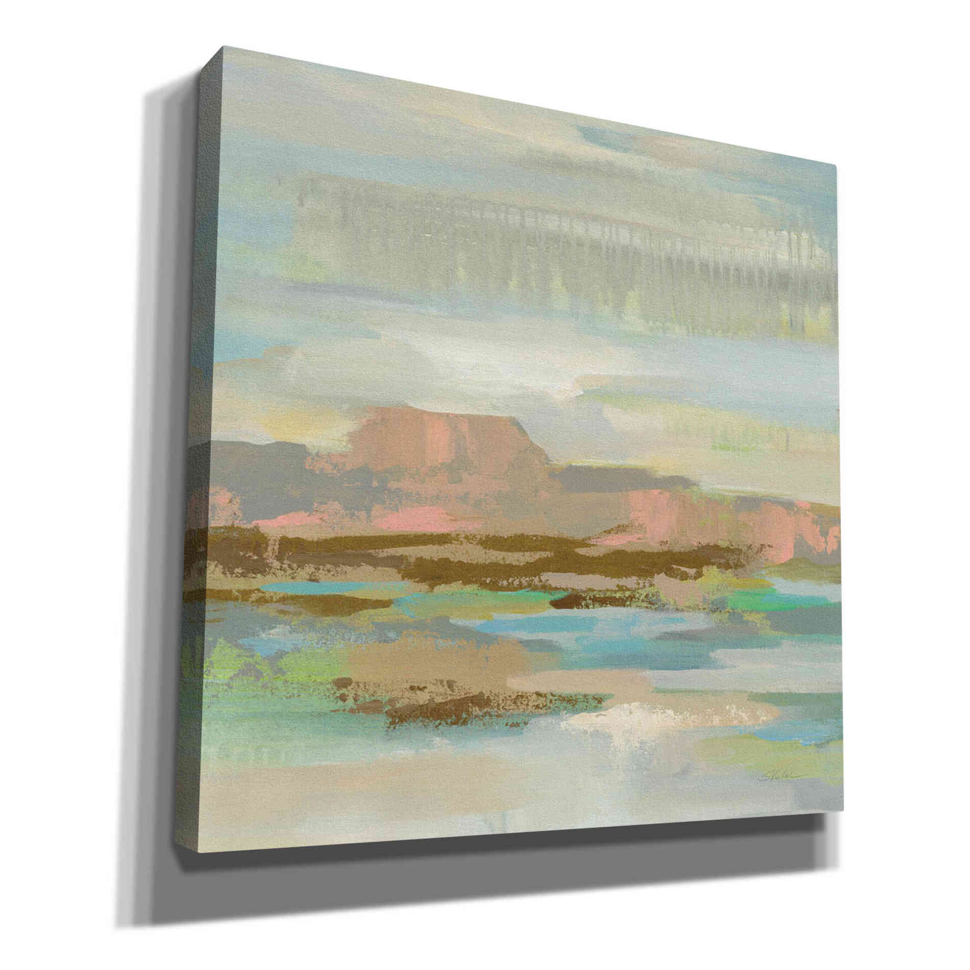 'Spring Desert II' by Silvia Vassileva, Canvas Wall Art