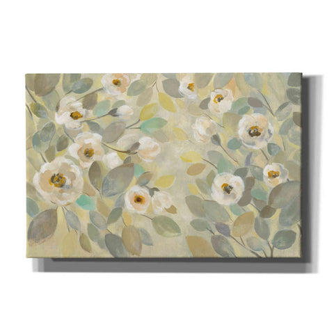 Image of 'Blooming Branches' by Silvia Vassileva, Canvas Wall Art