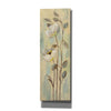 'Neutral Anemone Branches II' by Silvia Vassileva, Canvas Wall Art