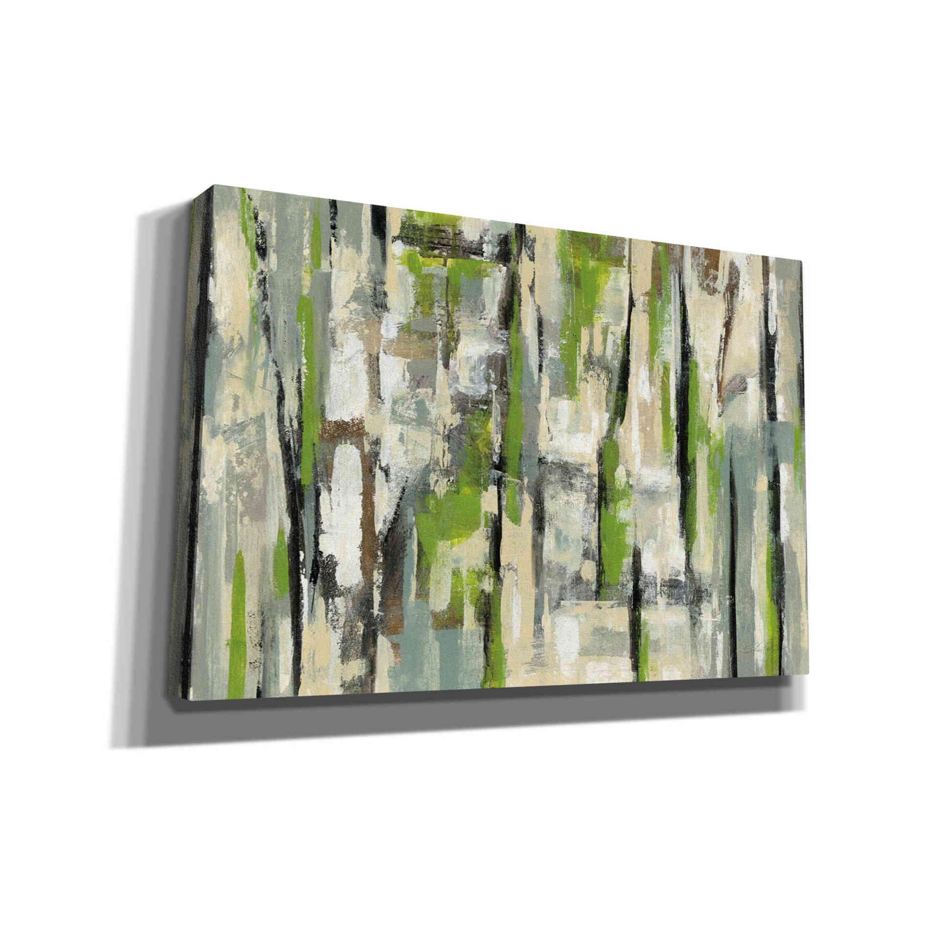 'Spring Stripes' by Silvia Vassileva, Canvas Wall Art