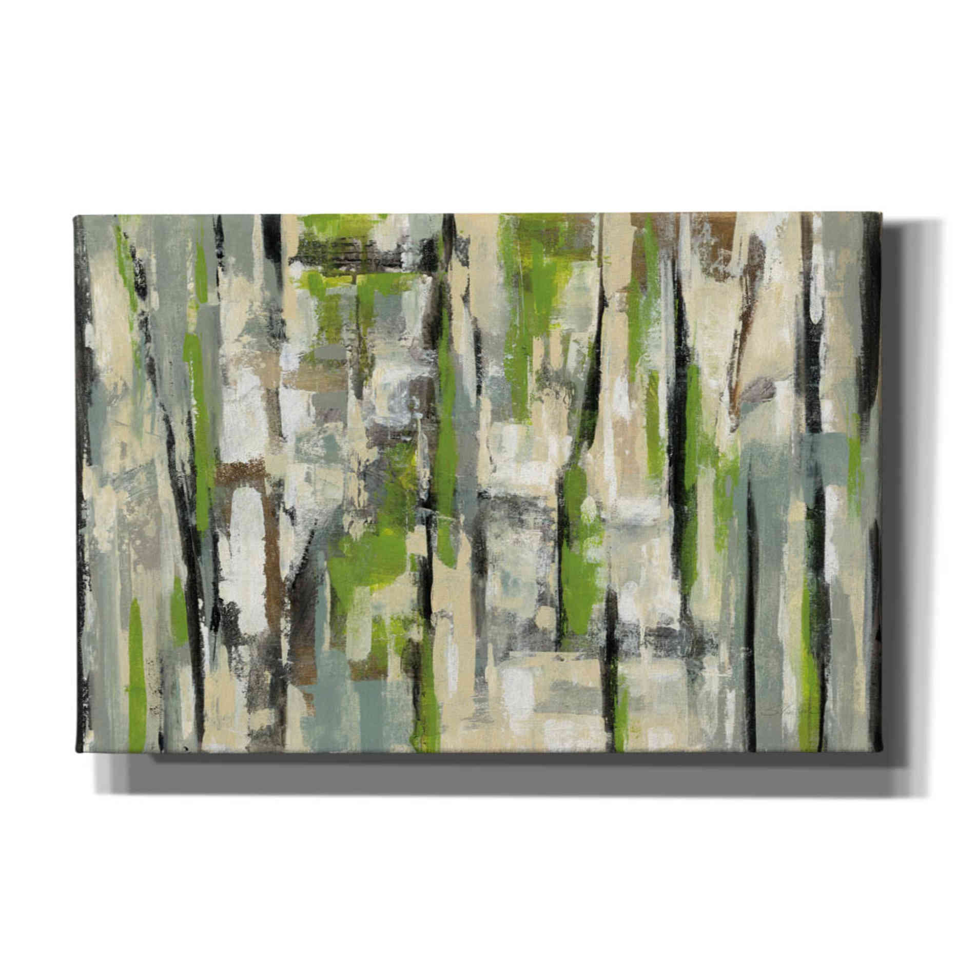 'Spring Stripes' by Silvia Vassileva, Canvas Wall Art