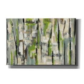 'Spring Stripes' by Silvia Vassileva, Canvas Wall Art