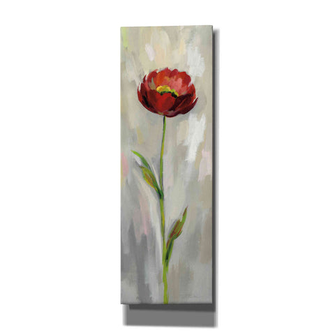 Image of 'Single Stem Flower II' by Silvia Vassileva, Canvas Wall Art