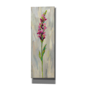 'Single Stem Flower IV' by Silvia Vassileva, Canvas Wall Art