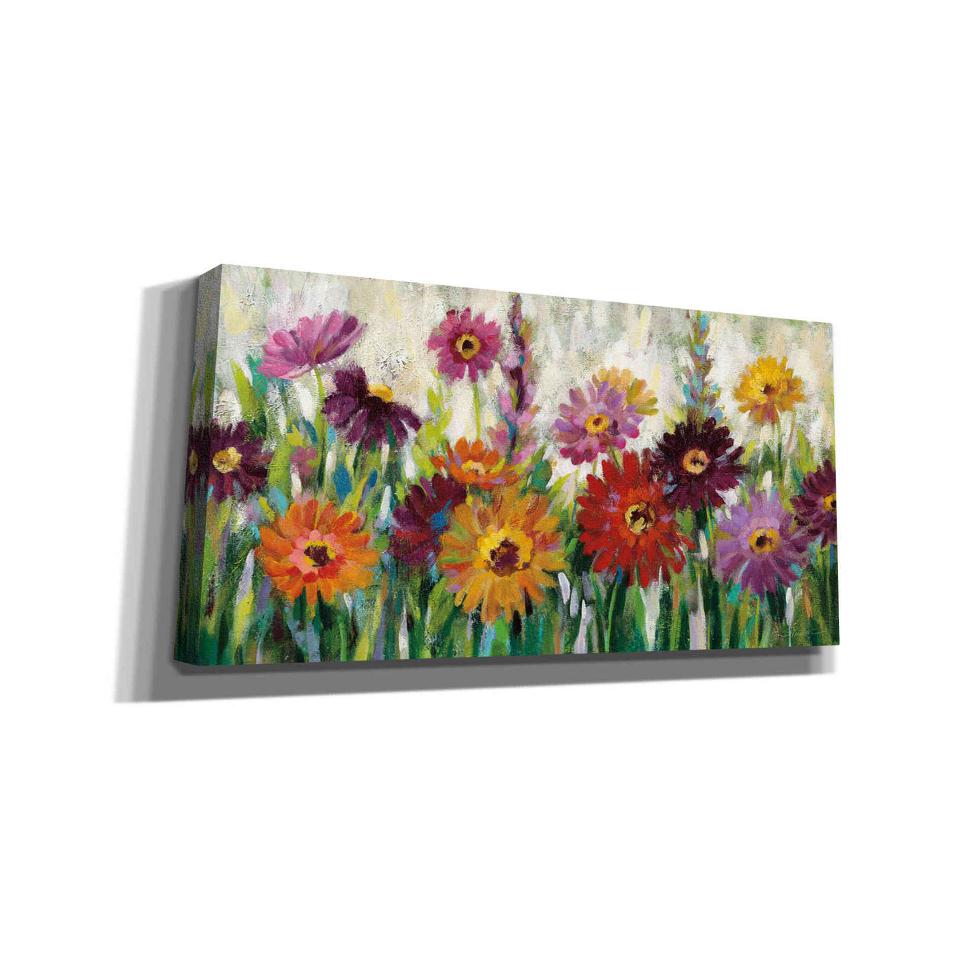'Jewel Daisy Gerbera' by Silvia Vassileva, Canvas Wall Art