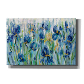 'Iris Flower Bed' by Silvia Vassileva, Canvas Wall Art