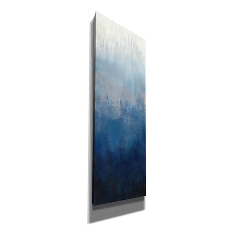 Image of 'Silver Wave II' by Silvia Vassileva, Canvas Wall Art