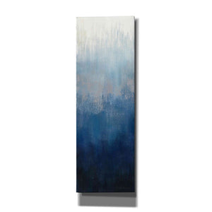 'Silver Wave II' by Silvia Vassileva, Canvas Wall Art