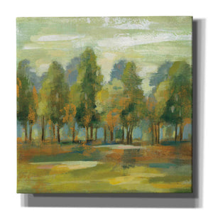 'Forest I' by Silvia Vassileva, Canvas Wall Art