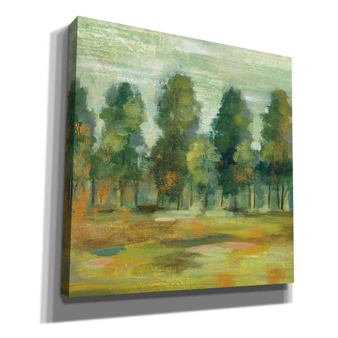 Image of 'Forest II' by Silvia Vassileva, Canvas Wall Art