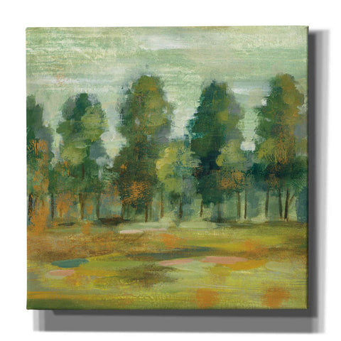 Image of 'Forest II' by Silvia Vassileva, Canvas Wall Art