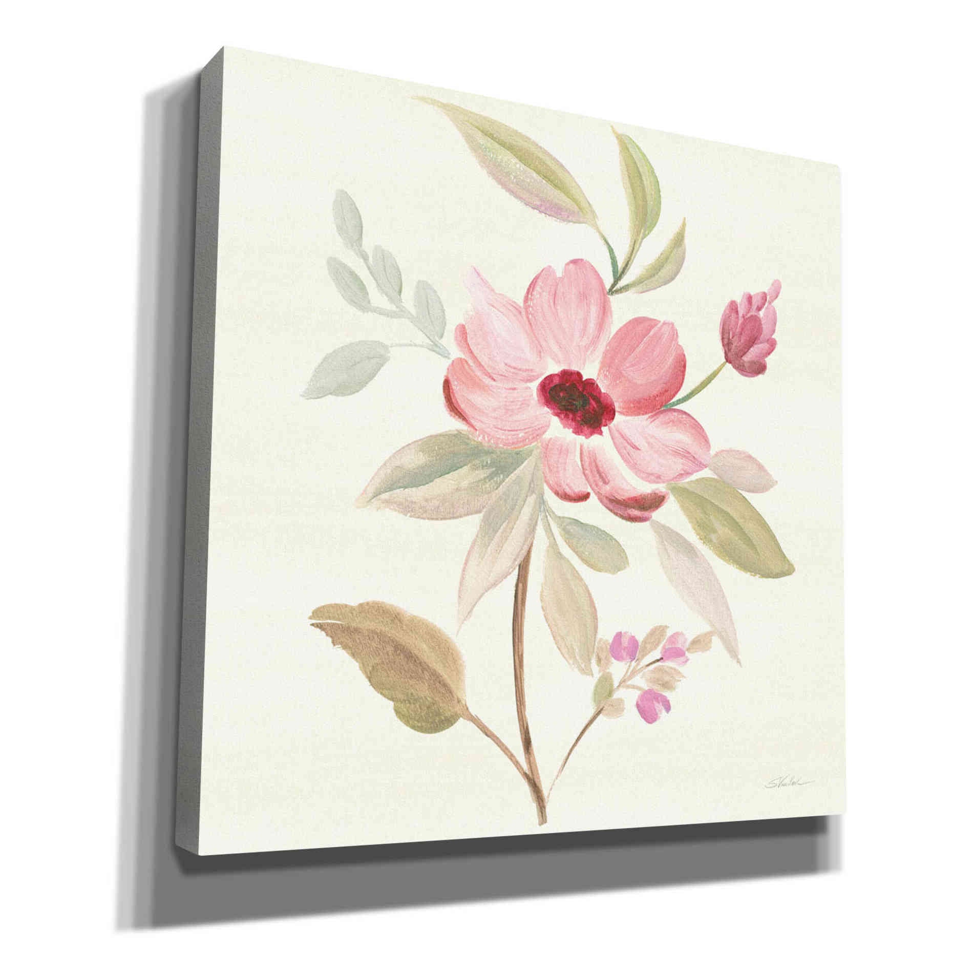 'Petals and Blossoms VI' by Silvia Vassileva, Canvas Wall Art