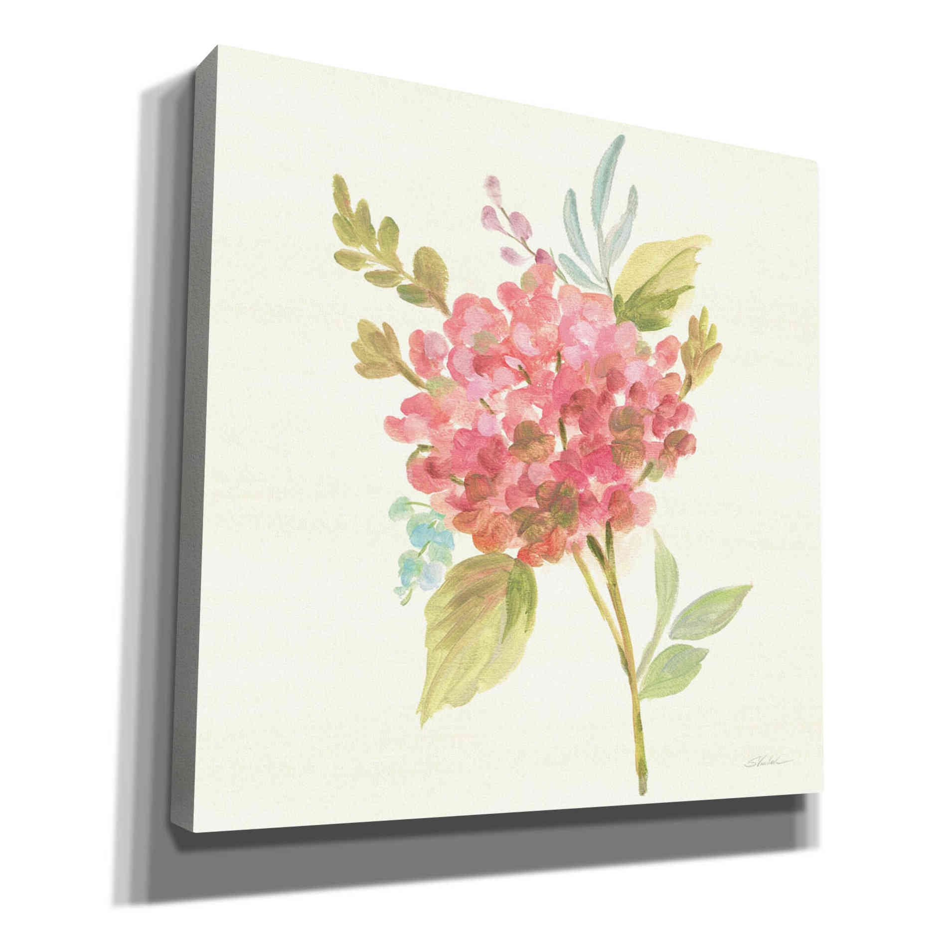 'Petals and Blossoms VII' by Silvia Vassileva, Canvas Wall Art